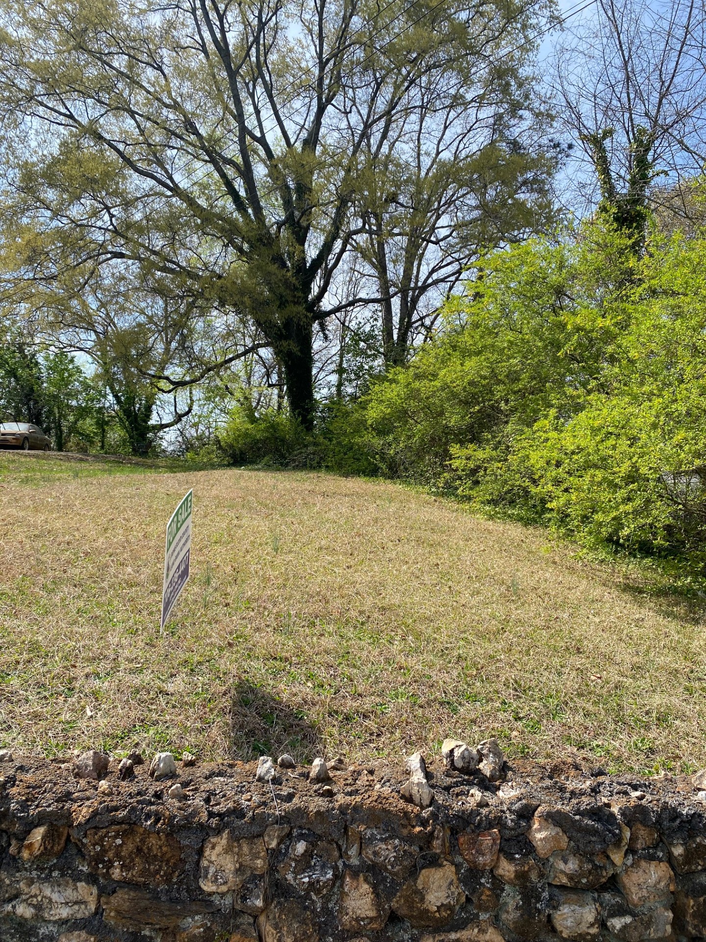 0 Spring Creek St photo